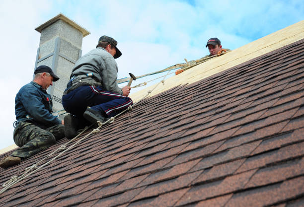 Best Tile Roofing Contractor  in Bertsch Oceanview, CA