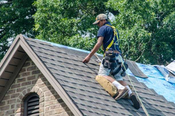 Quick and Trustworthy Emergency Roof Repair Services in Bertsch Oceanview, CA